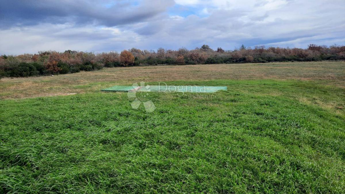 Terreno agricolo Vodnjan, 18.600m2