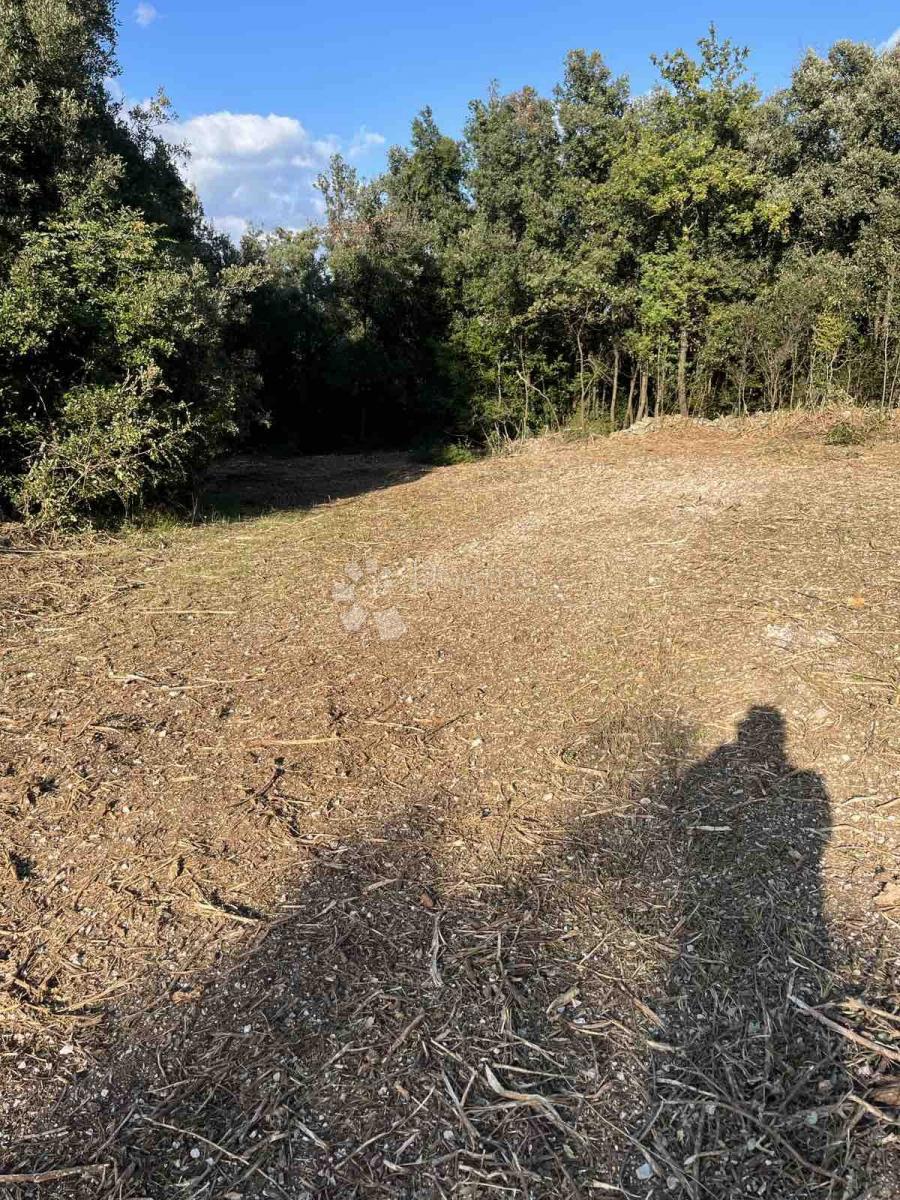 Terreno agricolo Peruški, Marčana, 2.000m2