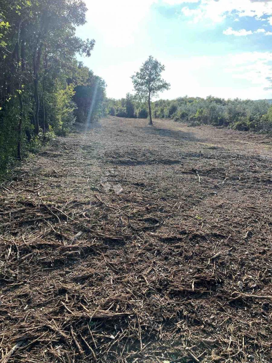 Terreno agricolo Peruški, Marčana, 2.000m2