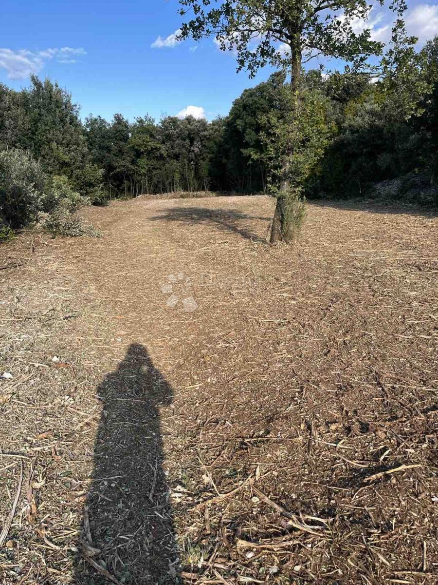 Terreno agricolo Peruški, Marčana, 2.000m2