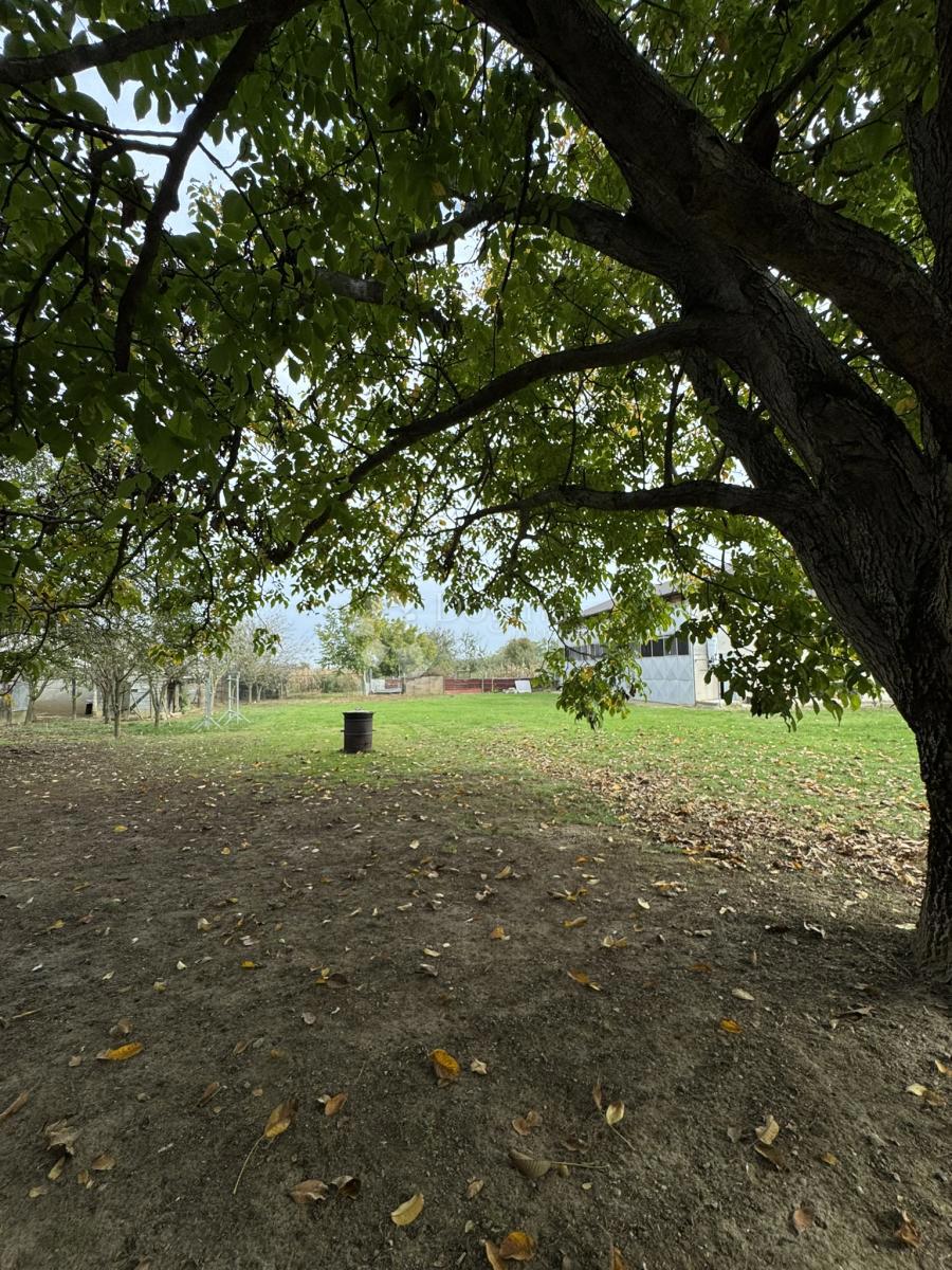 Casa Suhopolje, 230m2