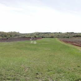 Terreno agricolo Flengi, Sveti Lovreč, 8.440m2