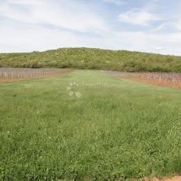 Terreno agricolo Flengi, Sveti Lovreč, 8.440m2