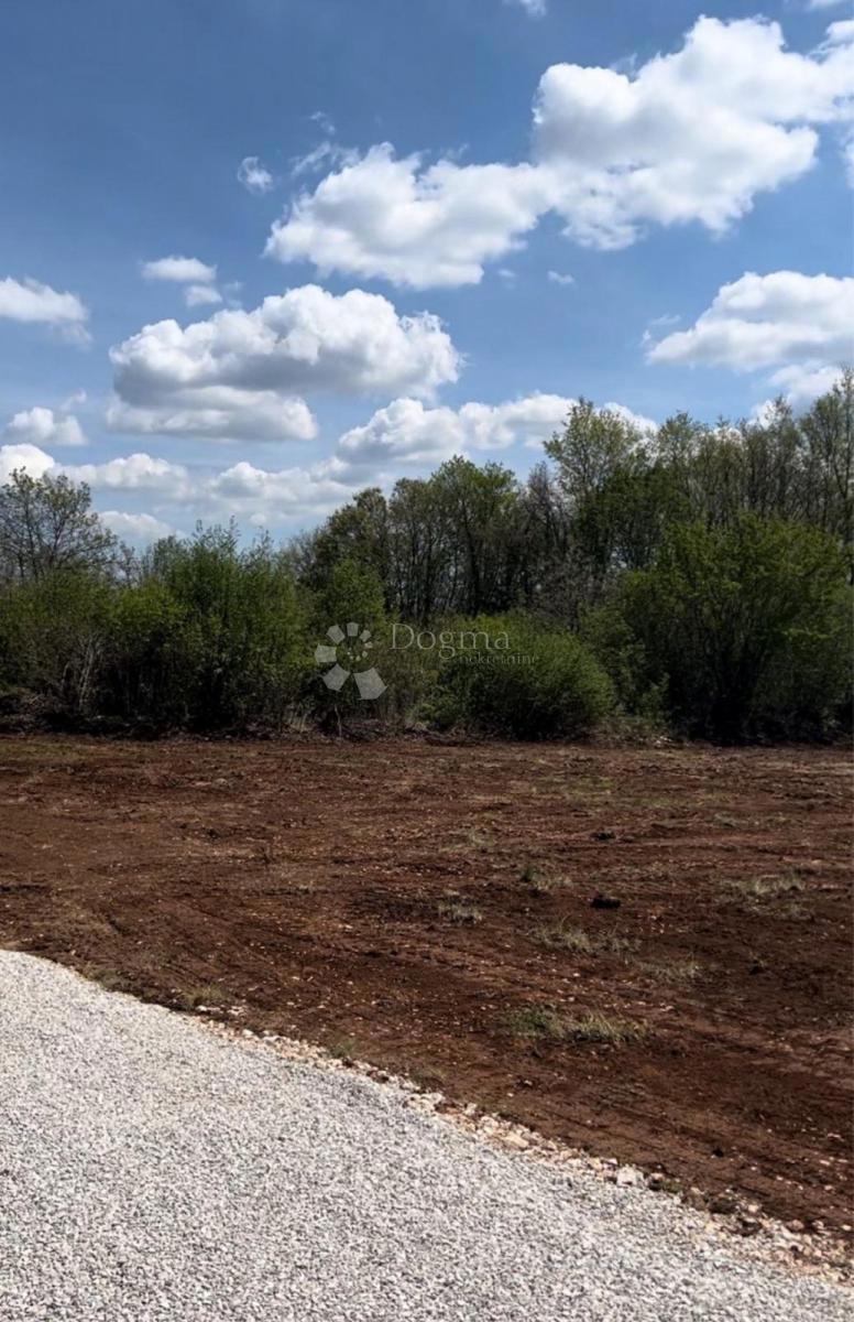 Tinjan - Edificio 600 m² + Agricolo 134 m², Ottima Opportunità