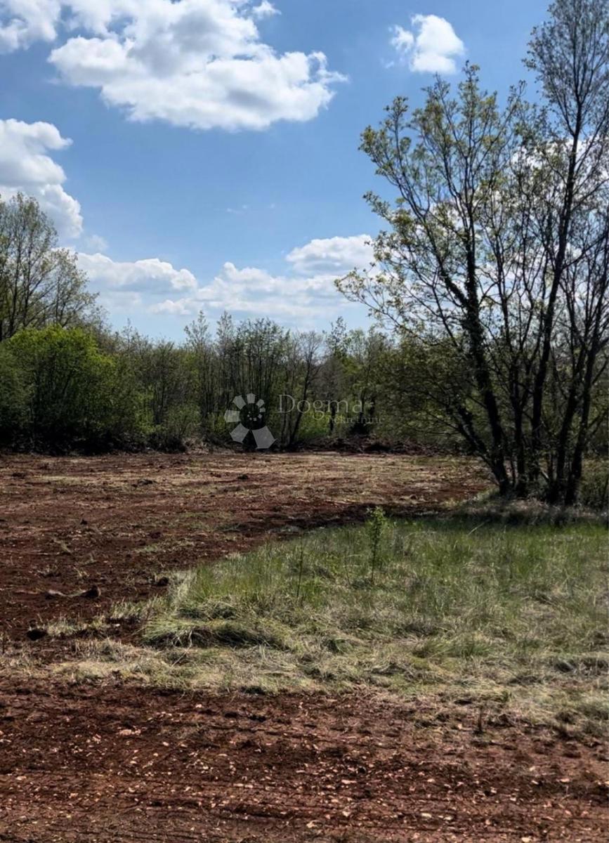 Tinjan - Edificio 600 m² + Agricolo 134 m², Ottima Opportunità