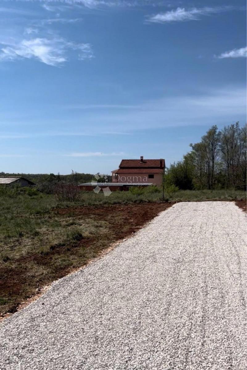 Tinjan - Edificio 600 m² + Agricolo 134 m², Ottima Opportunità