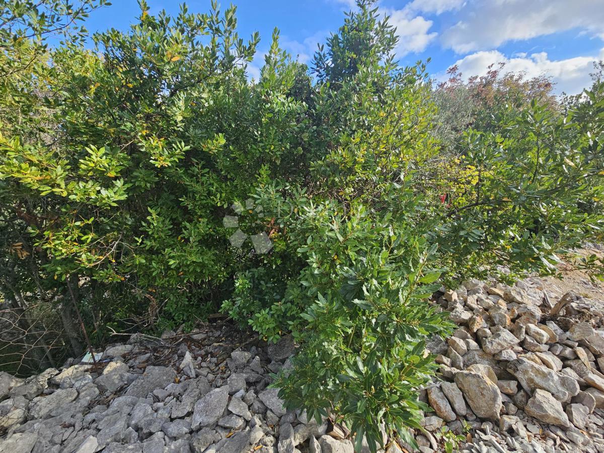 Terreno edificabile Krk, 1.130m2