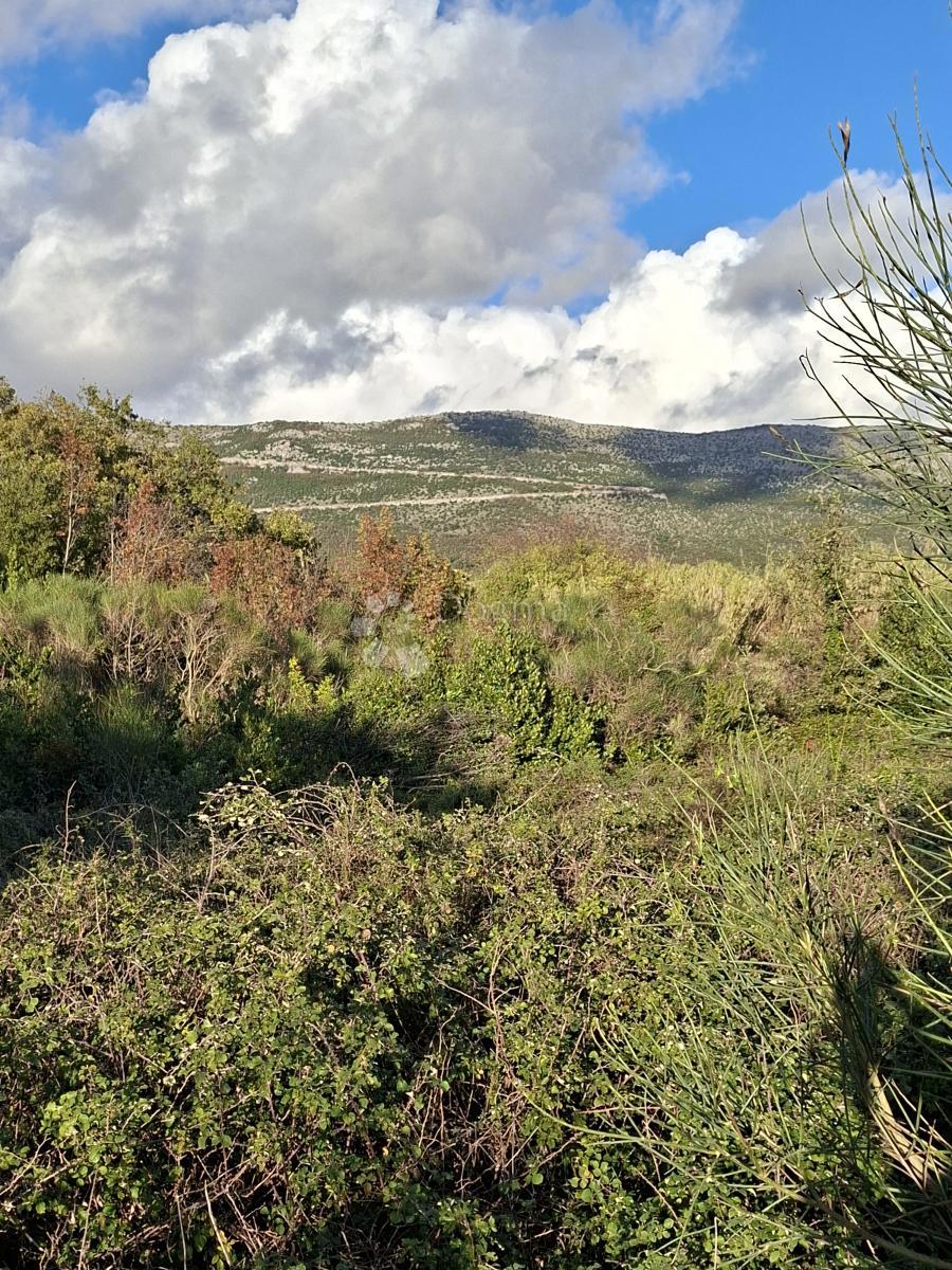 Terreno agricolo Močići, Konavle, 5.563m2