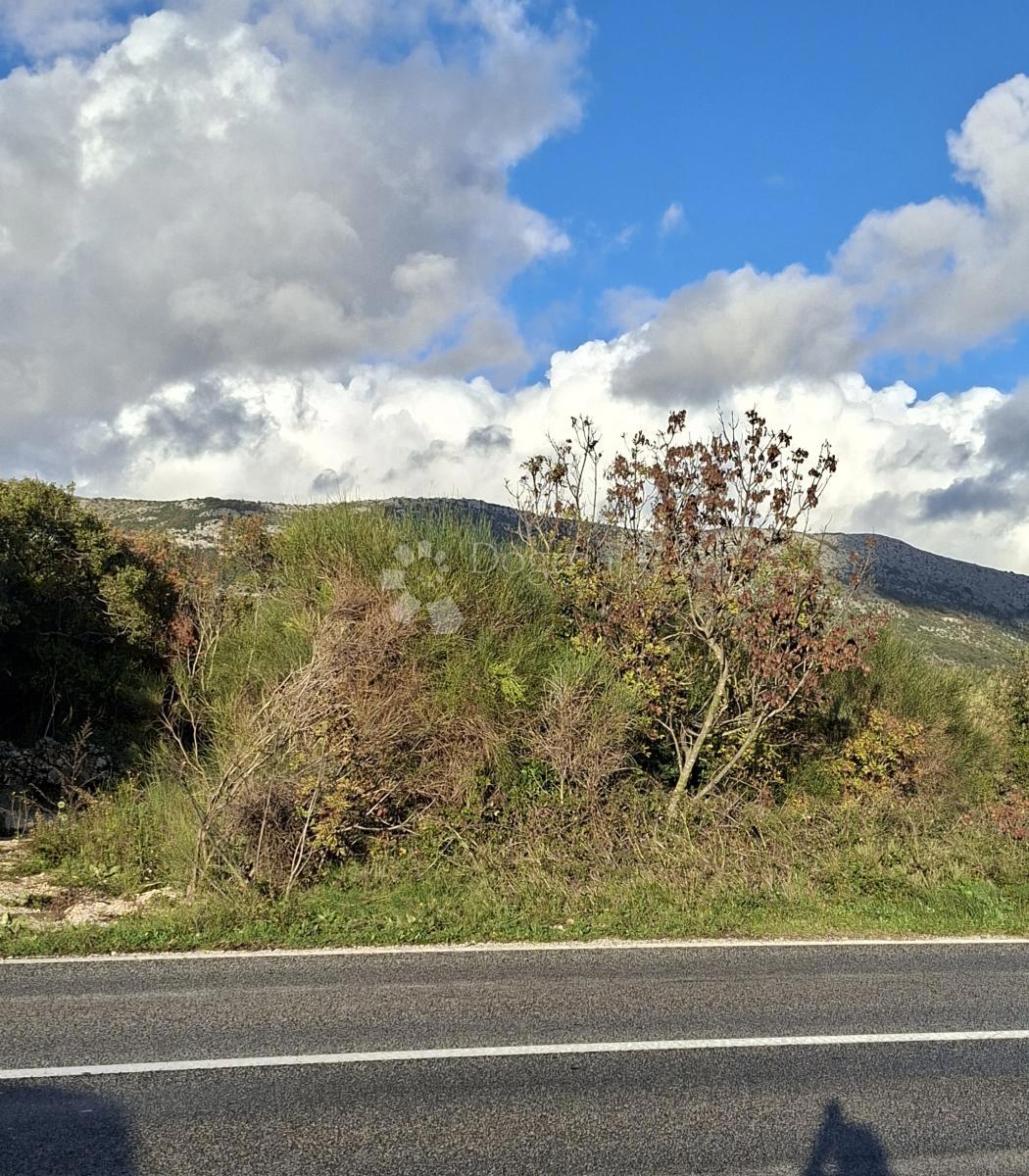 Terreno agricolo Močići, Konavle, 5.563m2