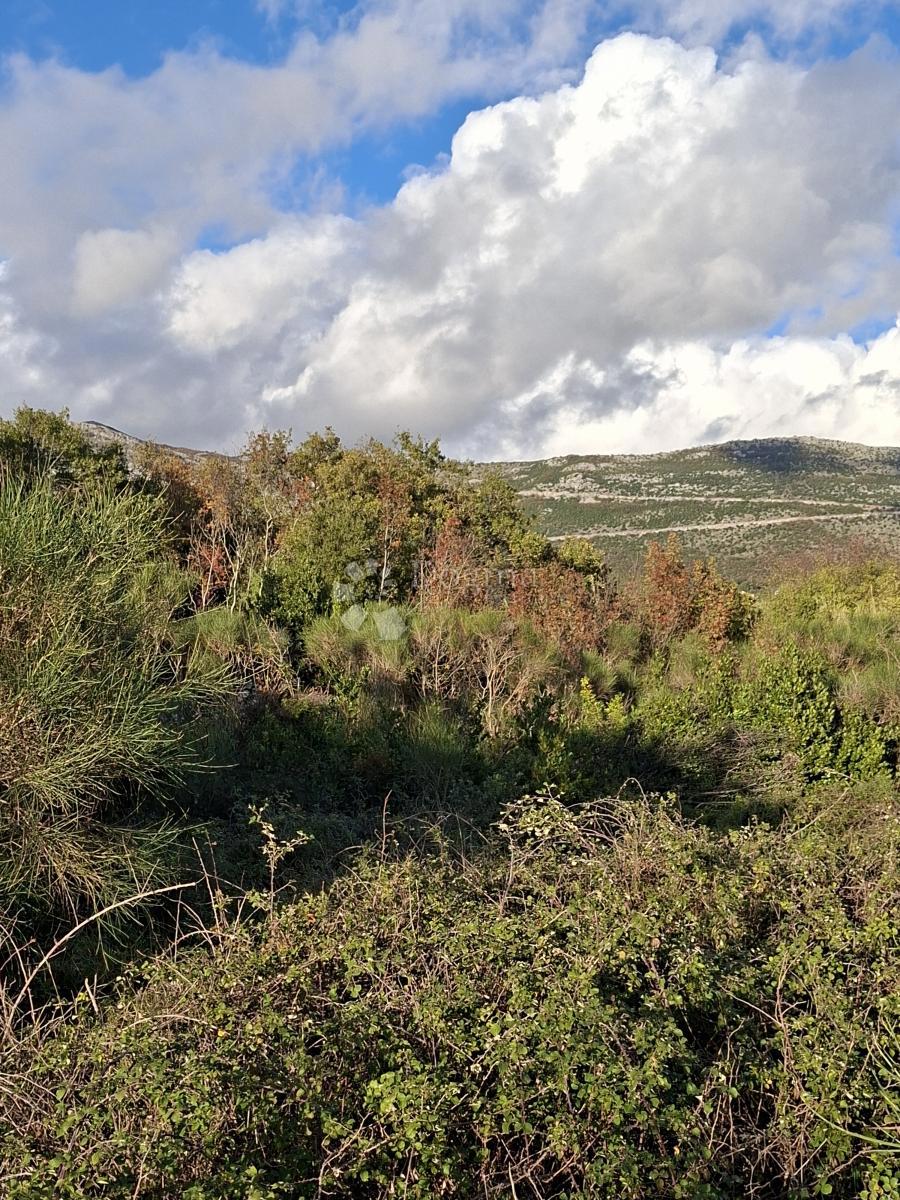Terreno agricolo Močići, Konavle, 5.563m2