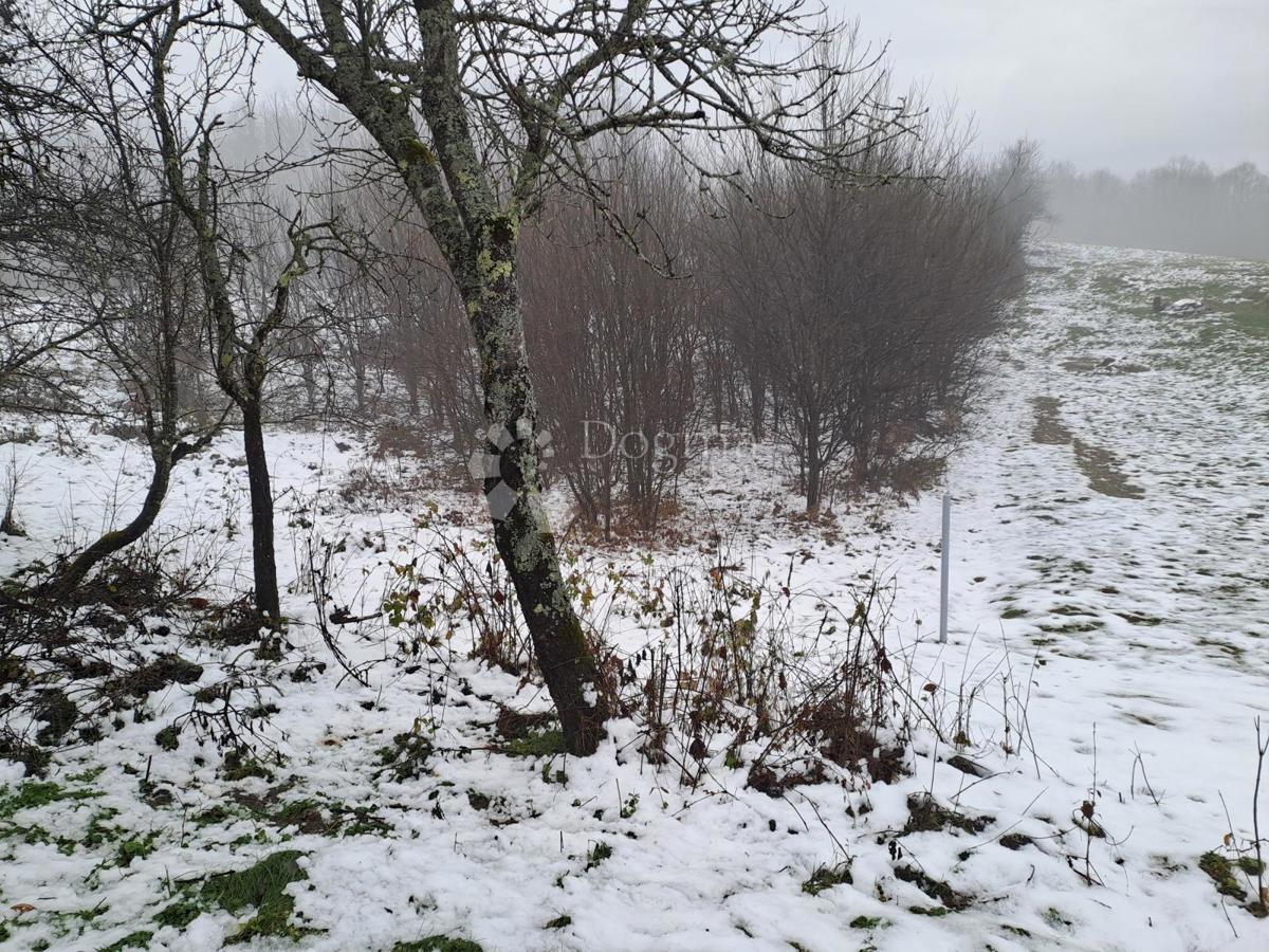 Casa Lipa, Generalski Stol, 78m2