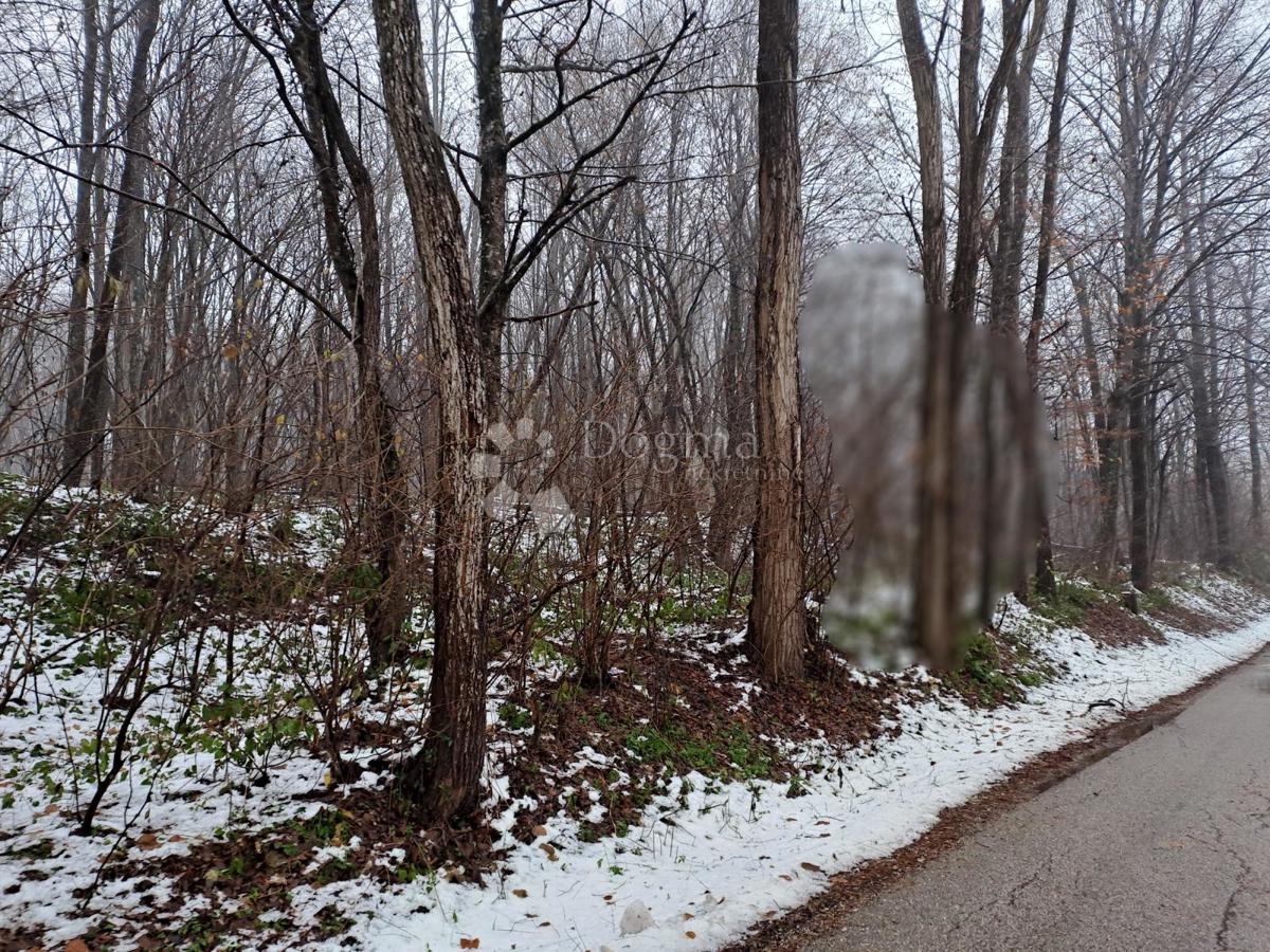 Casa Lipa, Generalski Stol, 78m2