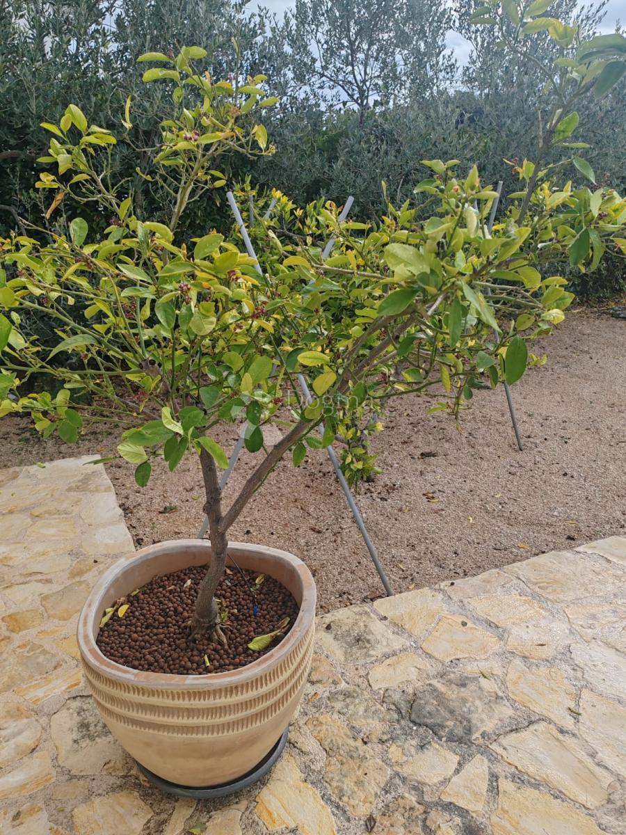 Casa Bogdanovići, Šibenik - Okolica, 81m2