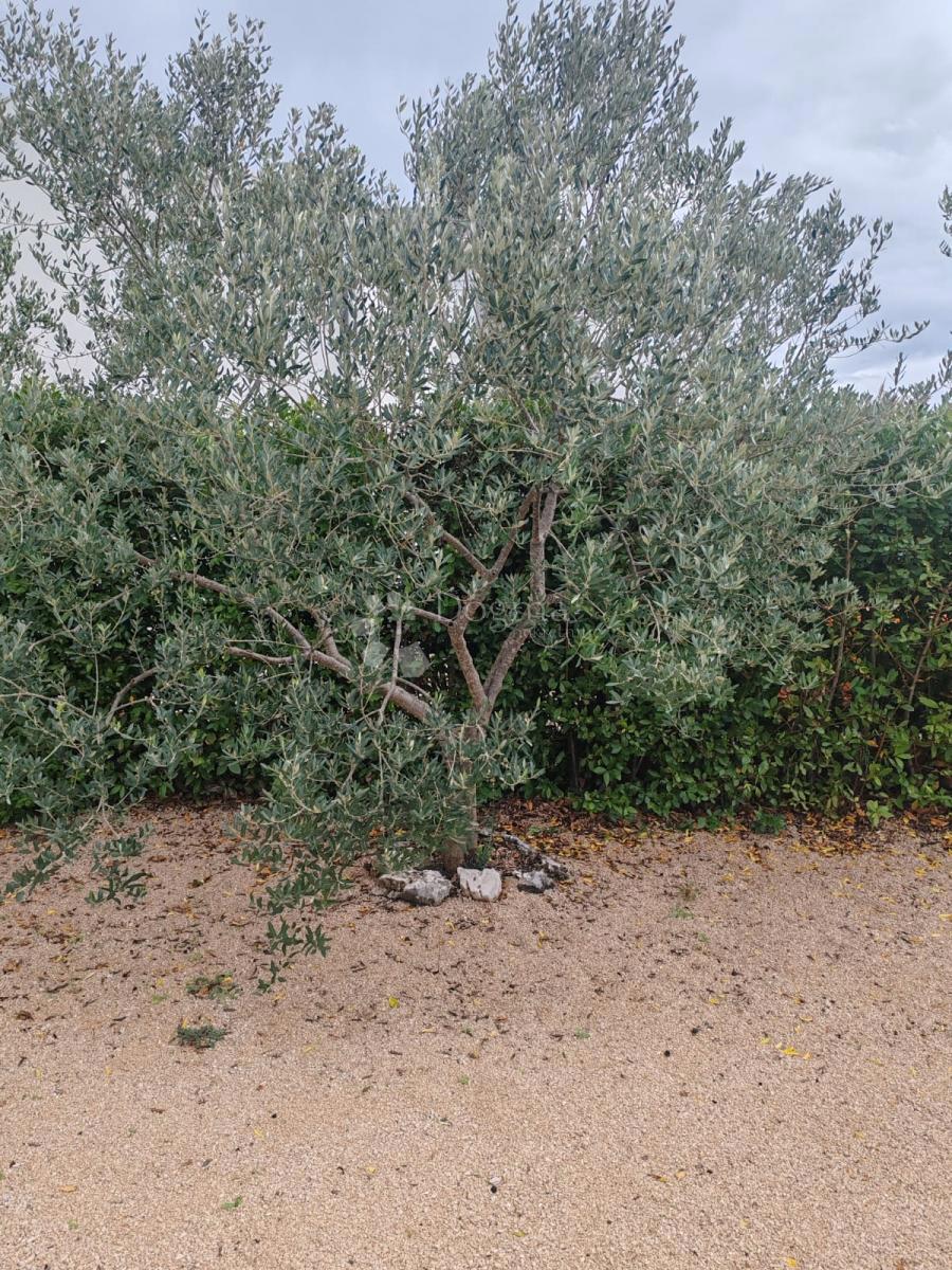 Casa Bogdanovići, Šibenik - Okolica, 81m2