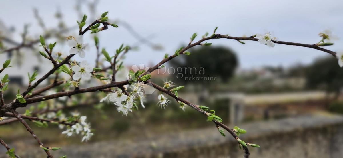 Terreno edificabile Barbariga, Vodnjan, 534m2