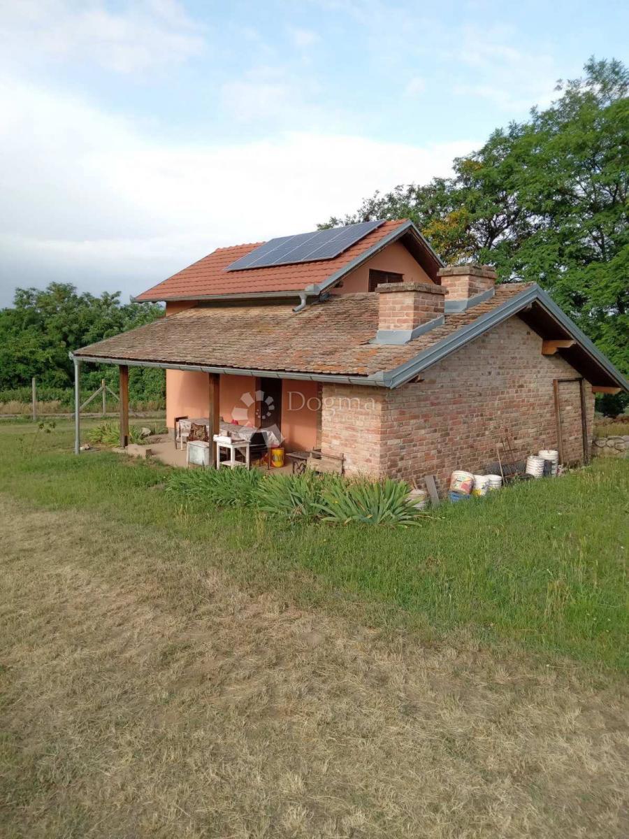 Terreno agricolo Branjin Vrh, Beli Manastir, 45.407m2