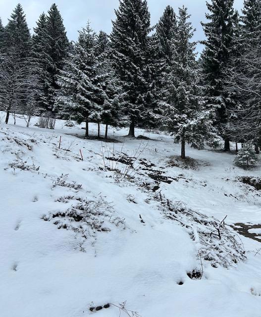 Terreno edificabile Ravna Gora, 847m2