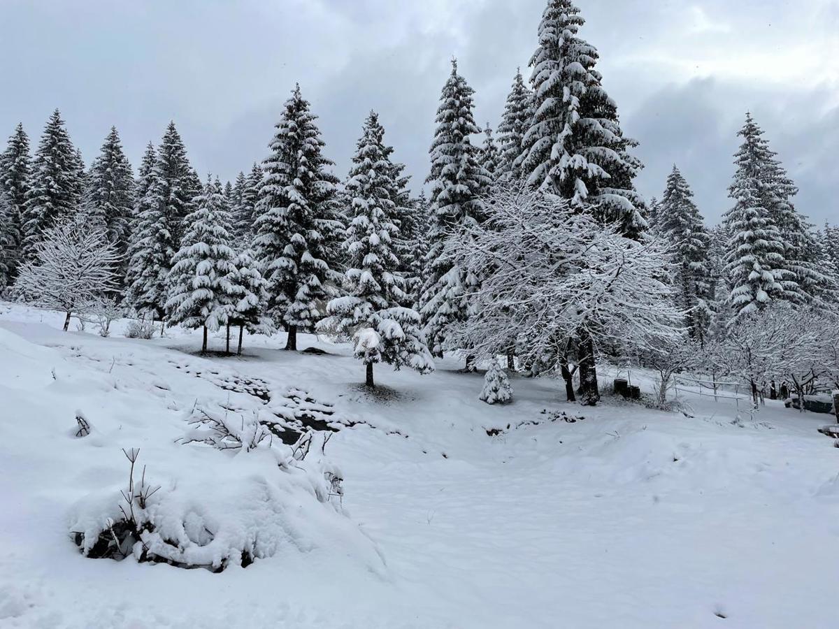 Terreno edificabile Ravna Gora, 847m2