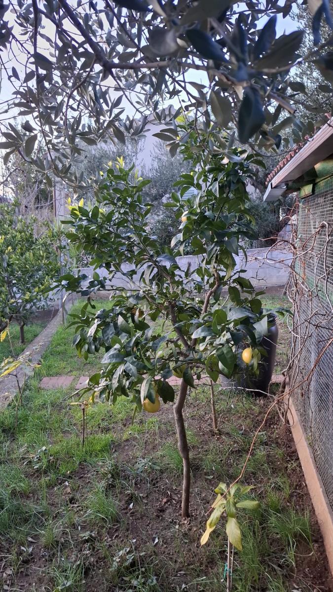 Casa Posedarje, 500m2