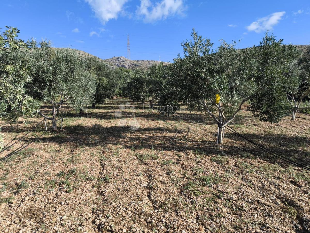 Terreno agricolo Trogir, 945m2