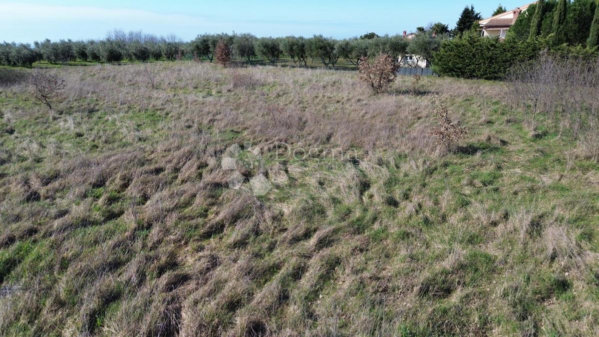 Terreno edificabile Kaštelir, Kaštelir-Labinci, 599m2