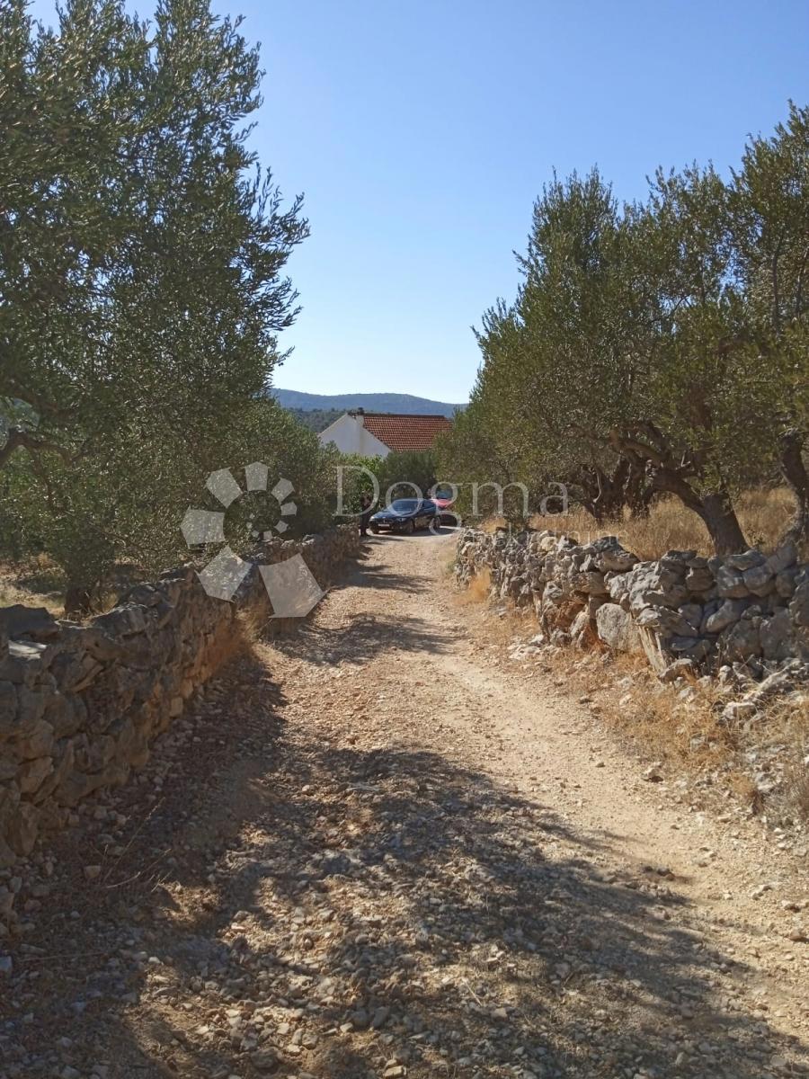 Terreno Marina, 4.704m2