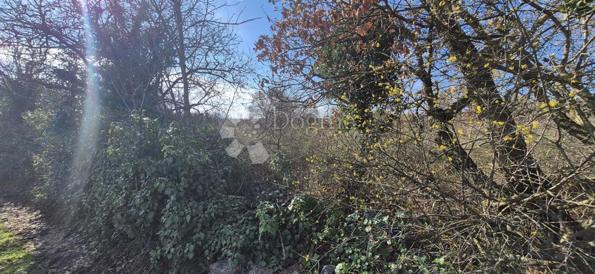 Terreno edificabile Peruški, Marčana, 4.576m2