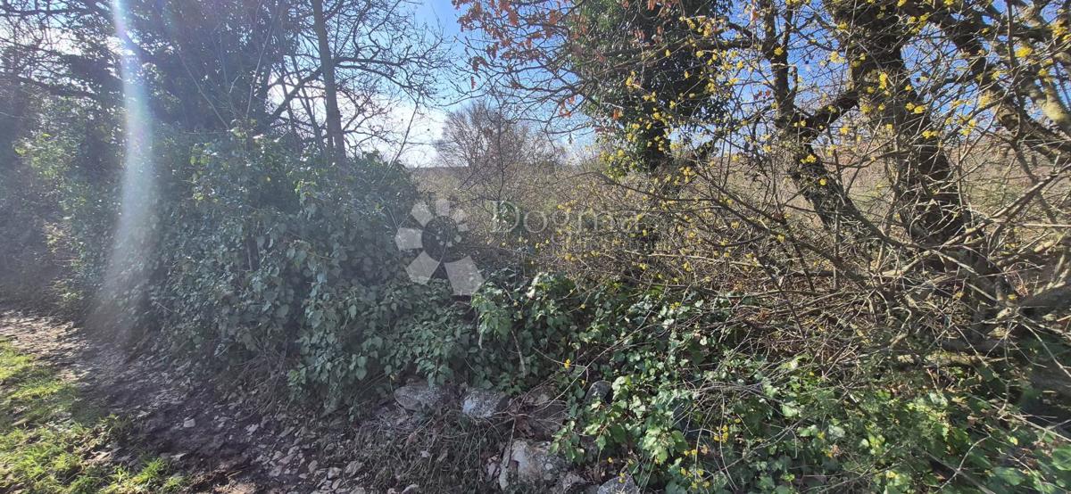 Terreno edificabile Peruški, Marčana, 4.576m2