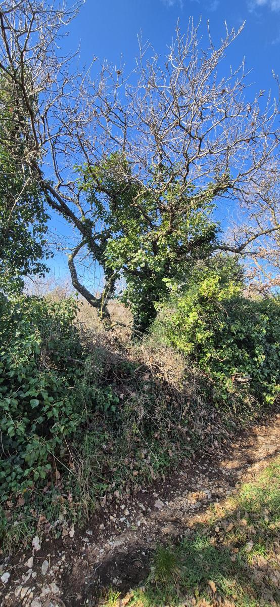 Terreno edificabile Peruški, Marčana, 4.576m2