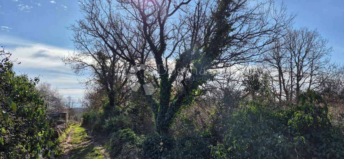 Terreno edificabile Peruški, Marčana, 4.576m2