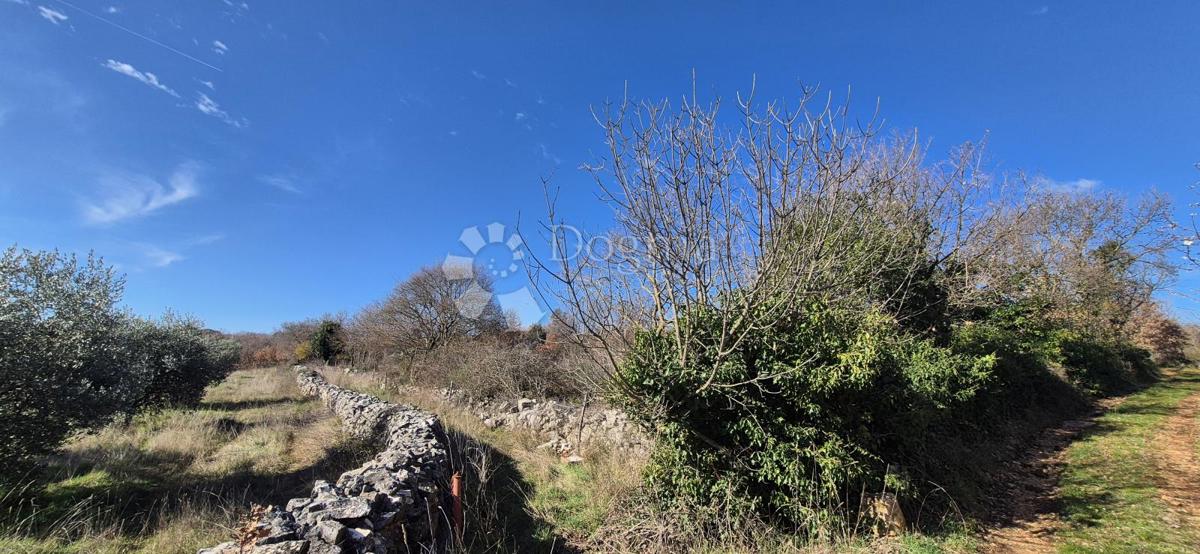 Terreno edificabile Peruški, Marčana, 4.576m2