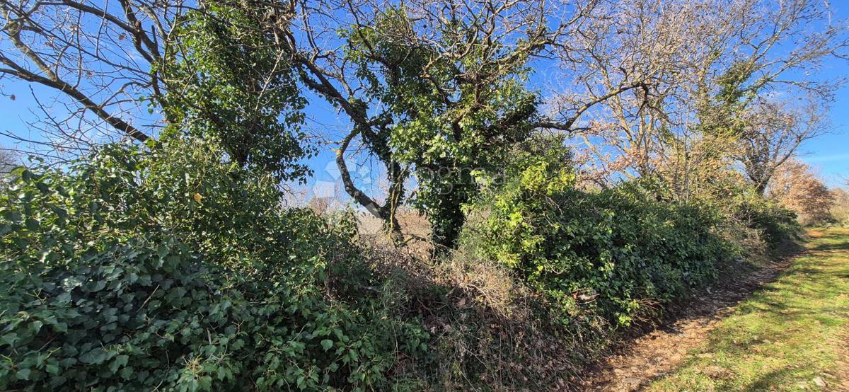 Terreno edificabile Peruški, Marčana, 4.576m2