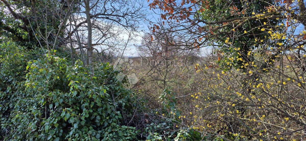 Terreno edificabile Peruški, Marčana, 4.576m2