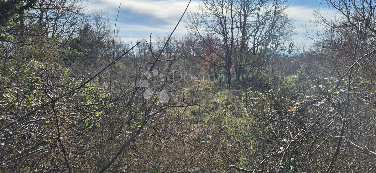 Terreno edificabile Peruški, Marčana, 4.576m2