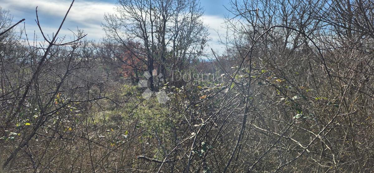 Terreno edificabile Peruški, Marčana, 4.576m2