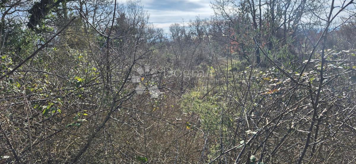 Terreno edificabile Peruški, Marčana, 4.576m2