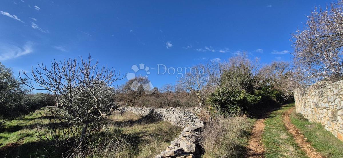 Terreno edificabile Peruški, Marčana, 4.576m2