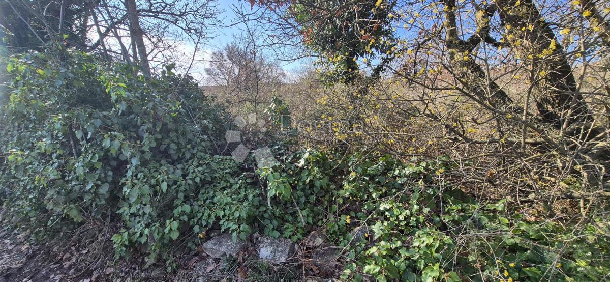 Terreno edificabile Peruški, Marčana, 4.576m2