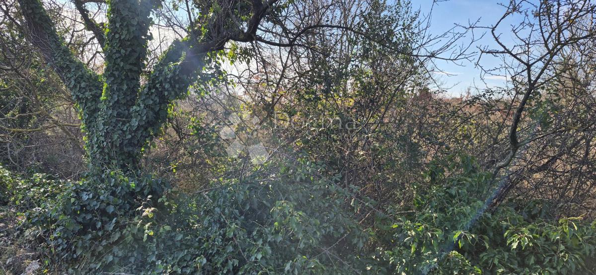 Terreno edificabile Peruški, Marčana, 4.576m2