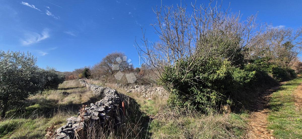 Terreno edificabile Peruški, Marčana, 4.576m2