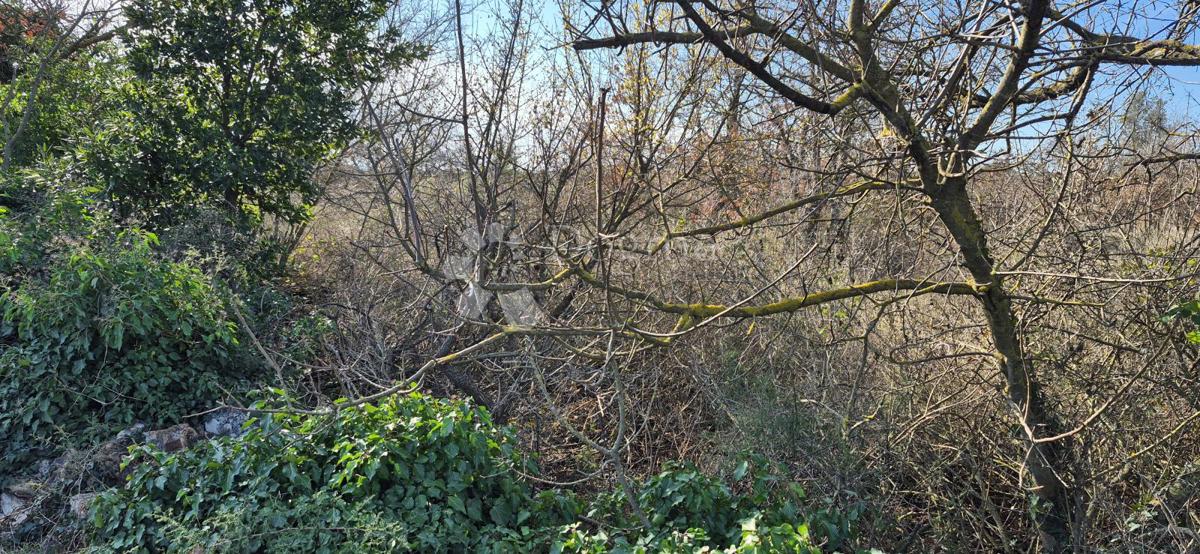 Terreno edificabile Peruški, Marčana, 4.576m2