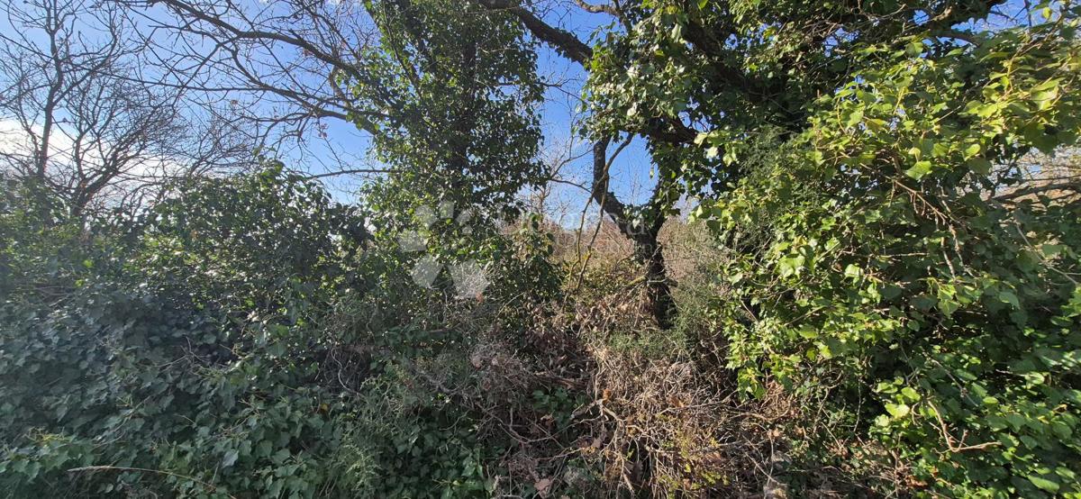 Terreno edificabile Peruški, Marčana, 4.576m2