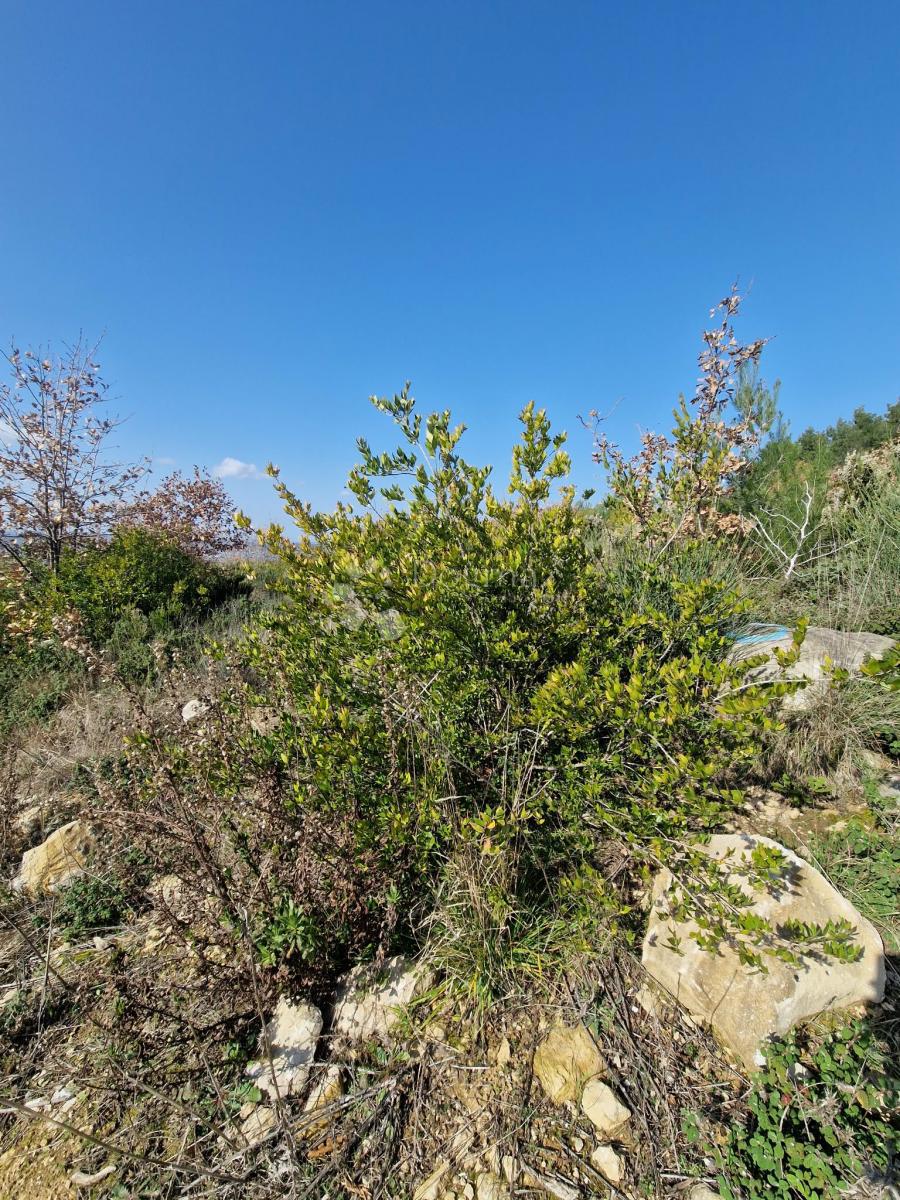 Terreno edificabile Radovin, Ražanac, 500m2