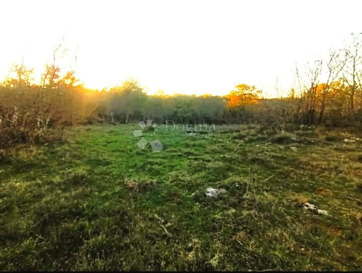 Terreno agricolo Bale, 22.277m2