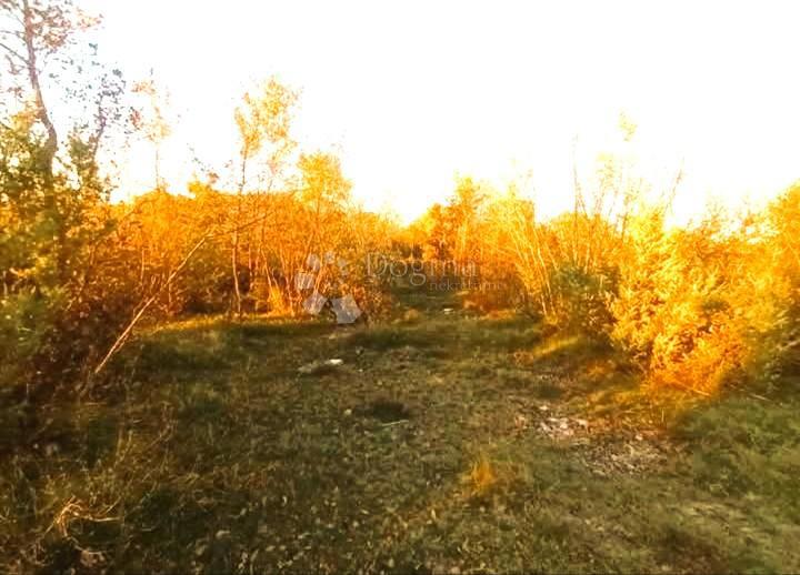 Terreno agricolo Bale, 22.277m2