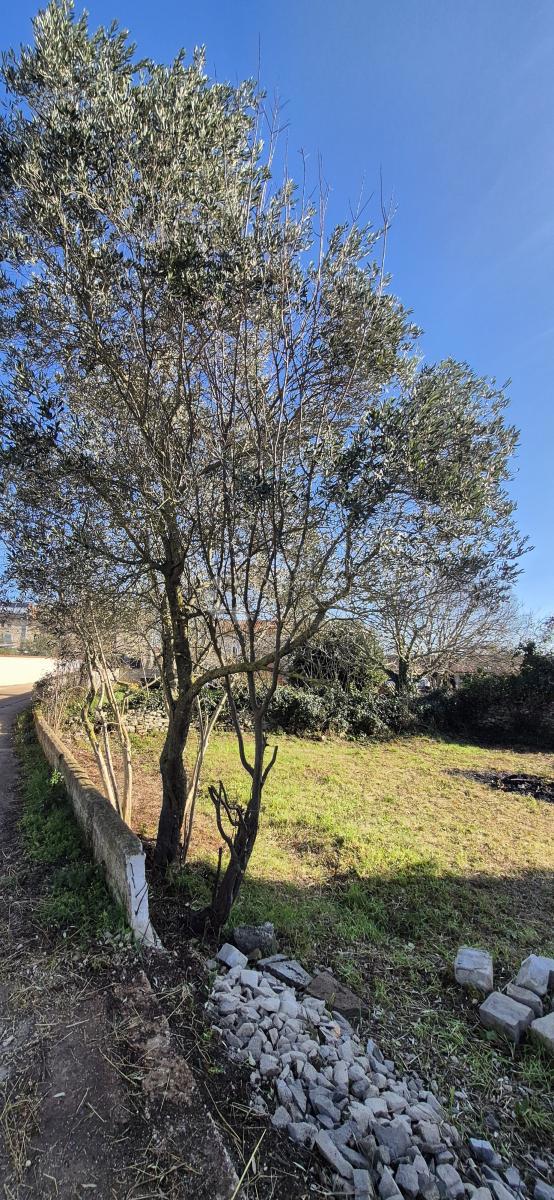 Casa Juršići, Svetvinčenat, 166m2