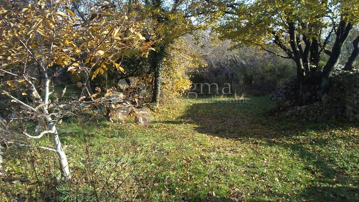 Terreno Šilo, Dobrinj, 2.800m2