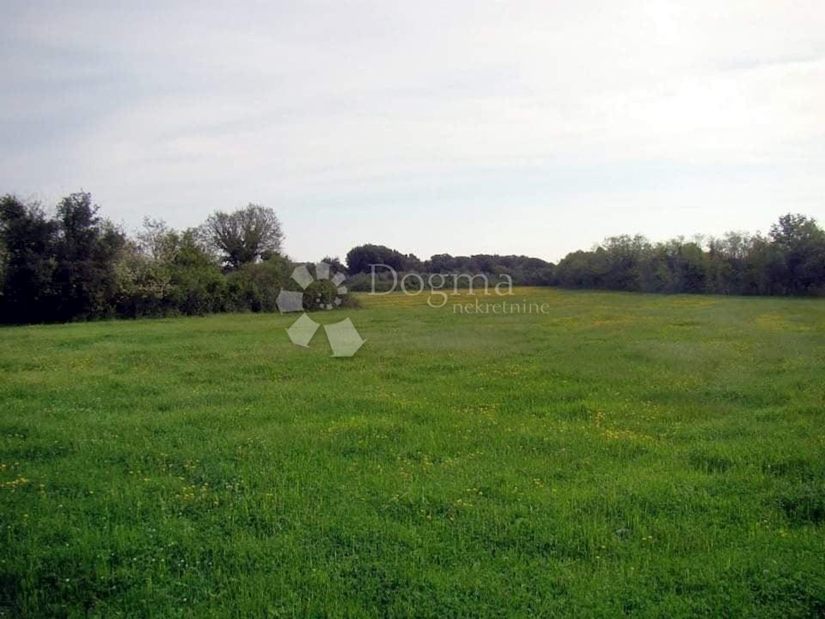 Terreno Ližnjan, 16.000m2