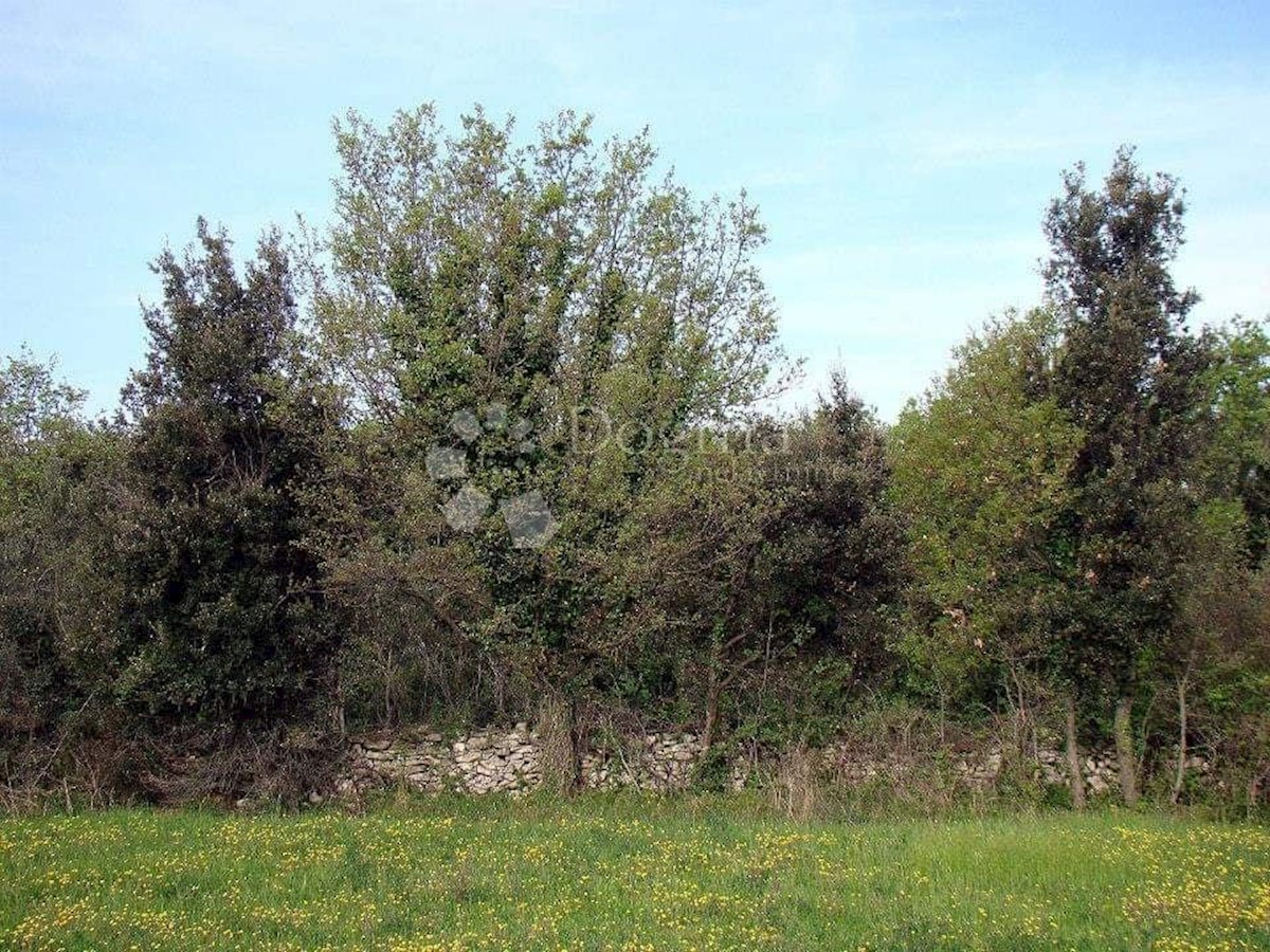 Terreno Ližnjan, 16.000m2