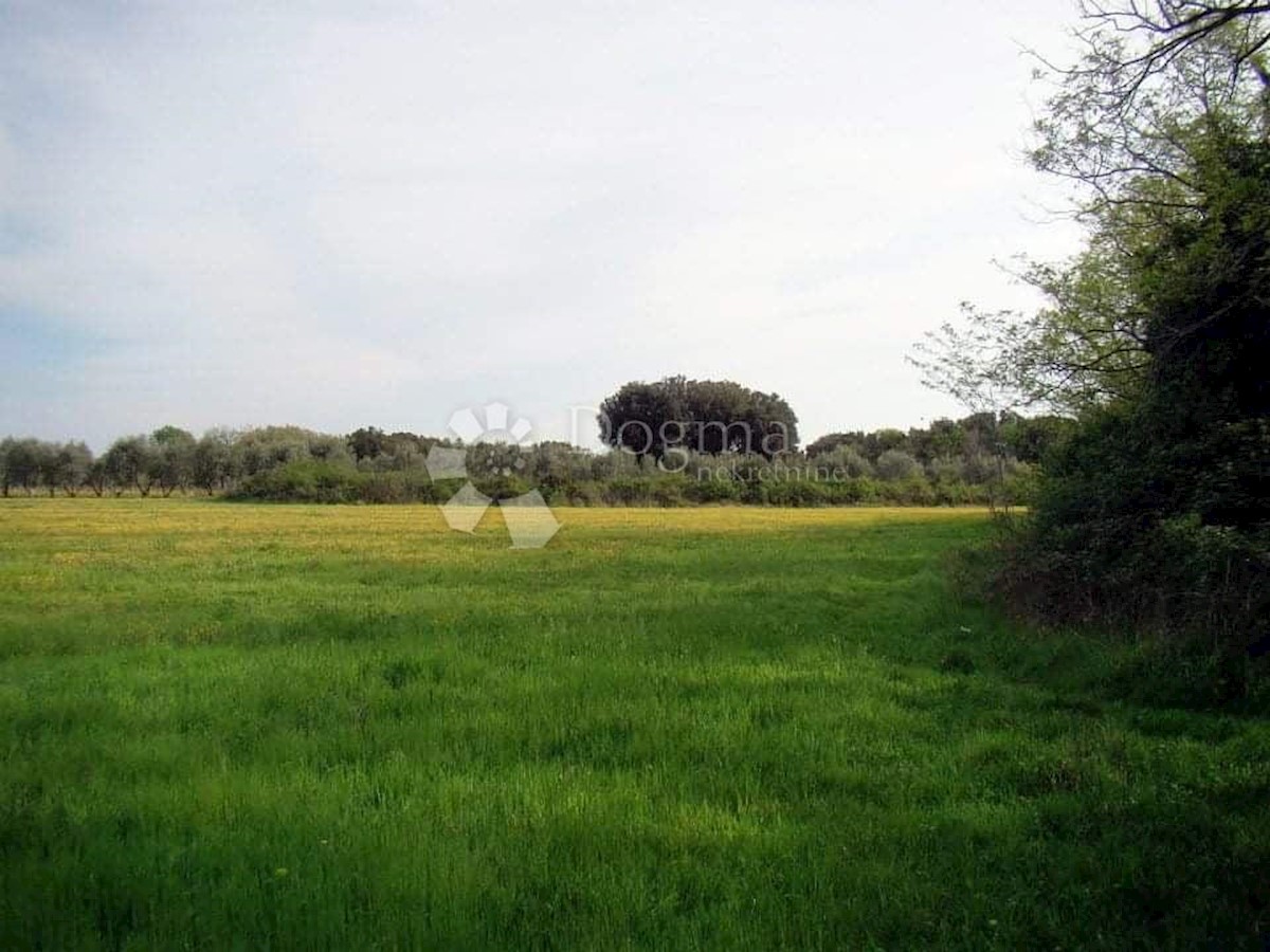 Terreno Ližnjan, 16.000m2